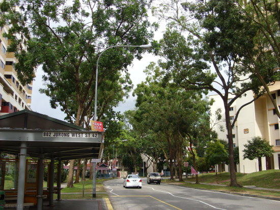 Jurong West Street 42 #99332